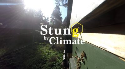 Stung by Climate