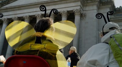 Episode 5: Pollination is Key