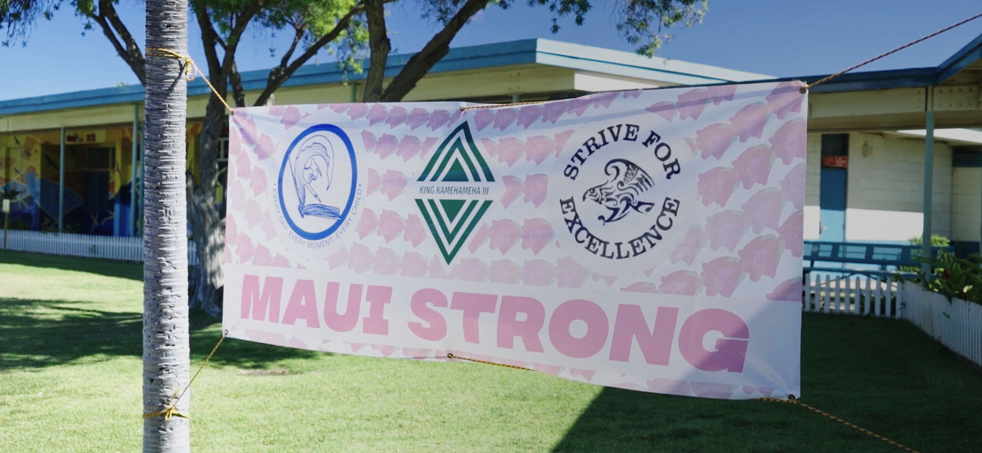 Showing Compassion and Love in Hawaii